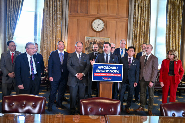 State Republicans call for ‘affordable energy’